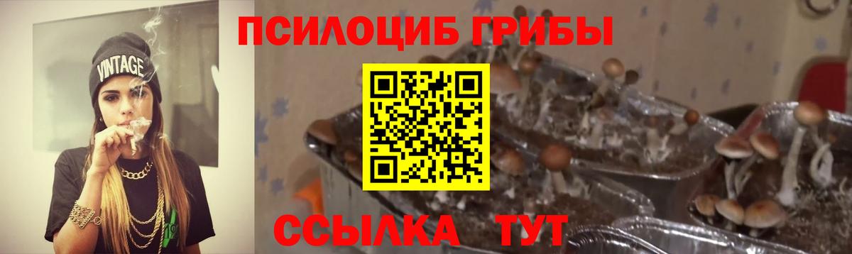 Псилоцибиновые грибы Psilocybe  Вход с VPN  Галлюциногенные грибы ЛСД  Богородск 